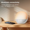 Sunrise Alarm Clock White Noise Machine: Natural Wake Up Light