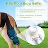 Dog Knee Brace Support for Torn ACL Hind Leg, Adjustable