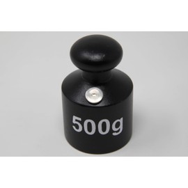 WISSNER Active Learning - Weight Cast Iron 0.5 kg