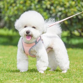 KUVEELA PET Harness Lead Set for Small Dogs and Cats, Medium-Sized Dogs, Towing Rope, Bib, Torso, Dog Wear, Includes Reflective Light Strips, Mesh, Stylish, Adjustable, Walking, Easy to Put on and