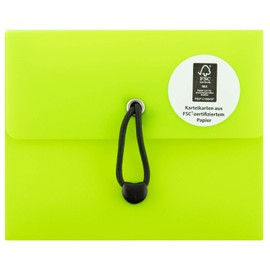 Stylex 49100 Index Card Box DIN A7 with 5 Compartments Including 100 Lined FSC Index Cards in 6 Different Colours for Repeating and Practising New and Old Vocabulary Assorted Items