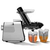 Anybear Masticating Juicer Machines, 3.5" Large Feed Chute Cold Press