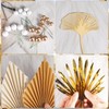 Pack of 29 Cake Toppers Gold, Roses, Magnolia, Grass, Barley,