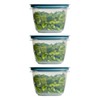 Utensilux Rubber maid Storage Containers, Easy Find Lids, Teal, 7