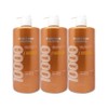 Elastin Protein Clinic 10000 Protein High Nutrition Shampoo Musk Scent 1L 3 Pieces Ss / 엘라스틴 프로틴클리닉 10000 단백질 고영양 샴푸 머스크향 1L 3개 Ss