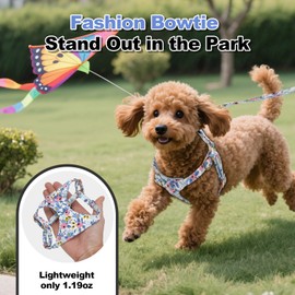 TEWIWAP XXS Dog Harness and Leash Set Lightweight Pet Harnesses with Cute Bowtie Floral Pattern, Adjustable Escape Proof Puppy Vest Extra Small Size Dogs for Daily Walking Parties Holiday