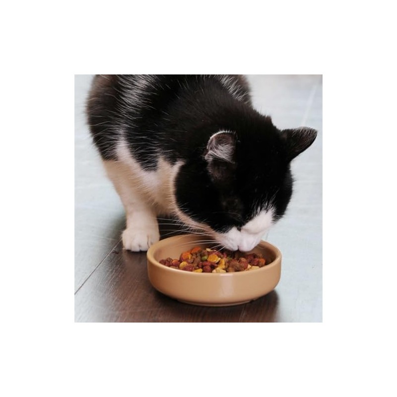 Mason Cash Cane Cat Saucer 13 cm