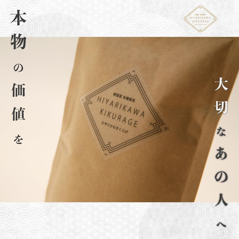 【純国産】樋遣川きくらげ 内容量100g パウダー 粉末 木耳 無農薬 贈答品 ギフト
