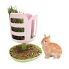 Rabbit Hay Feeders Rack: 2-in-1 Bunny Guinea Pig Food Bowl