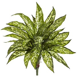 Nearly Natural 18” Aglaonema (Set of 4) Artificial Plant, Green, 4 Count