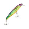 Illex Poisson Rodent Arnaud 100 F - 10 cm - 16 g - Table Rock Tiger - Floating - 78374