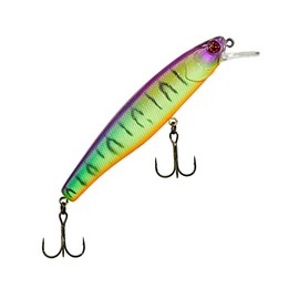 Illex Poisson Rodent Arnaud 100 F - 10 cm - 16 g - Table Rock Tiger - Floating - 78374