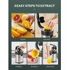 Professional Brushed Stainless Steel Electric Citrus Juicer, 2 Interchangeable Cones