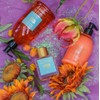 Dr. Taffi Acqua di Bolgheri Scirocco Fluid Body Lotion 300