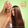 Garnier Hair Care Fructis Sleek & Shine Anti-Frizz Serum, 2