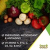 NaturesPlus Source of Life Gold Tablets - Whole Food Multivitamin