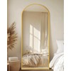 Coomily Full Length Mirror 58" L x 18" Full Body
