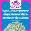 Fairtime Green Apple Taffy, 3 Pound Bag (Pack of 1)