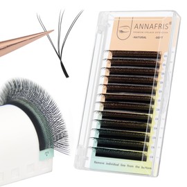 ANNAFRIS Eyelash Extension 2Tips 3D WW Lash Extension 0.07 L 8-15mm Mix Eyelash Premade Fan 3D Lashes Volume Eyelashes(2Tips-3DW 0.07L 8-15Mix)