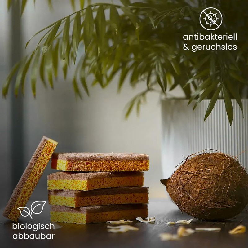 BiOHY Coconut Washing Up Sponge (Set of 3) | Sustainable