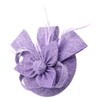 Biruil Fascinators Hat for Women Girls Sinamay Flower Feathers Tea