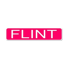 FLINT City Pride Neon Pink Vinyl on White - 4X17 Aluminum Street Sign