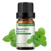 GREENSLEEVES Spearmint Essential Oil 10ml, 100% Pure Organic Diffuser Oils