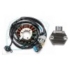 Generator Stator Regulator Gasket For Honda TRX450R TRX450ER 2006 2007