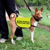 Reactive Dog Jacke Vest Space Needed Unpredictable Twat Dog Vest