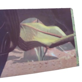 1999 ANTZ MOVIE CELL EXCLUSIVE EDITION IN FOLDER A4 CYBERCASE CEL  8"x10" PROMO