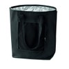 noTrash2003 Foldable Shopping Bag with Case - Lightweight and Stable