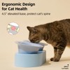 MS!MAKE SURE Dog Cat Bowls, Elevated Ceramic Cat Food and