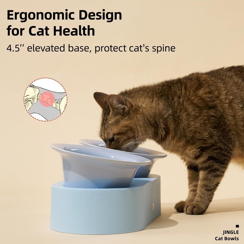 MS!MAKE SURE Dog Cat Bowls, Elevated Ceramic Cat Food and