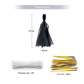 Binpeng 9.8in Tissue Paper Tassel DIY Hanging paper decorations Party Garland Decor for Party Decorations Wedding,Festival,Baby Shower Decoration 20PCS (black 25cm)