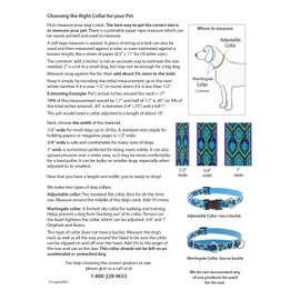 Lupine Martingale Dog Collar ECO Collection 3/4" Wide Tropical Sea adjusts 14" to 20"