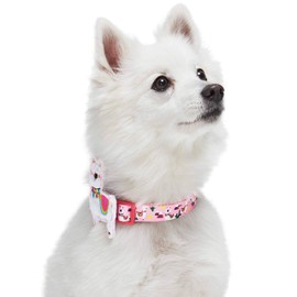 Blueberry Pet 10+ Patterns Forest Fun Dog Collars