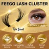 FEEGO Fluffy Eyelash Extensions Kit With Cluster Lashes, Eyelashes Extensions