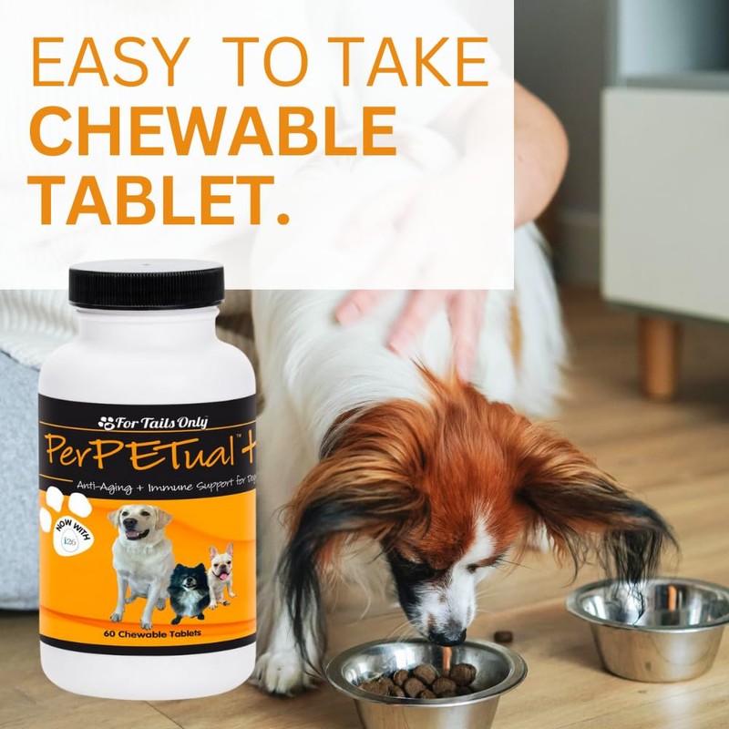 Youngevity Perpetual Plus Made-for-Pets Supplement, 60 Count (Pack of 1)