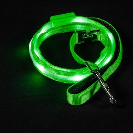 Blazin Light Up Dog Leash LED Dog Leash - 1,000 Feet of Visibility - USB Rechargeable Waterproof Glow in The Dark Dog Leash - 4 Foot, Green