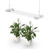 BoostGro LED Grow Light Full Spectrum Modular Linkable 5000K Daylight