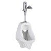 Mini Splash Hog Vertical Urinal Screen - Cotton Blossom