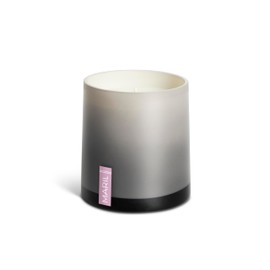 MARIL Collection Scented 8 Ounce Wax and Glass Poured Vessel Candle, Rose + Vanilla Orchard