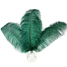 Happy Feather 16-18 inch Blackish Green Ostrich Feathers Craft for Wedding Party Centerpieces Home Decoration DIY Craft Pack of 10