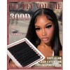 Fluffy Lash Clusters 300D D Curl 12-16mm Soft Band Volume
