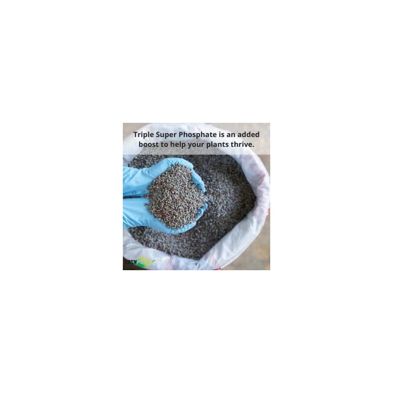 Easy Peasy TRIPLE SUPER PHOSPHATE FERTILIZER 0-46-0 | phosphorus fertilizer