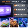 hygger 24/7 Mode Reef Aquarium Light White Blue U-V LEDs