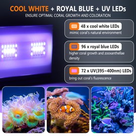 hygger 24/7 Mode Reef Aquarium Light White Blue U-V LEDs with 4 Channels Dimmer Timer Saltwater LED Light for LPS/Soft Coral/Fish Only Tank 24'' 30 Minutes Ramp Up & Down
