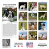 2024 2025 English Setter Calendar - Dog Breed Monthly Wall