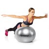 Original Pezzi Pezziball Standard 65 cm with Ball Bowl Combination