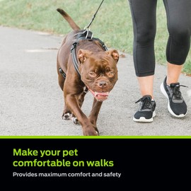 Premier Pet No Pull Comfort Harness - Reduces Pulling for Better Walks - Adjustable Fit with 4 Points - Soft Padded Design for Comfort - Reflective Stitching for Safety - Easy to Use Everyday - Medium